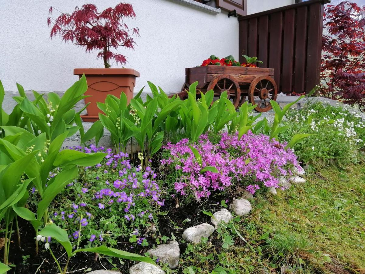 Pocitnisko Stanovanje Planja Soča Extérieur photo