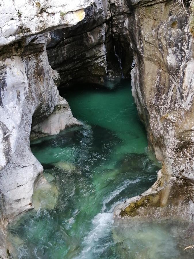 Pocitnisko Stanovanje Planja Soča Extérieur photo