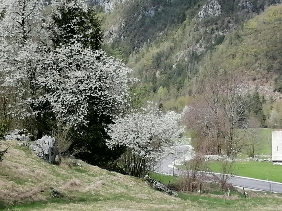 Pocitnisko Stanovanje Planja Soča Extérieur photo